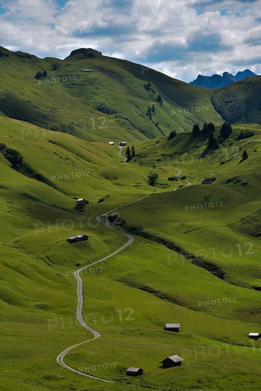 Alpine meadows in Hochkrumbach on the Hochtannberg Pass in Vorarlberg