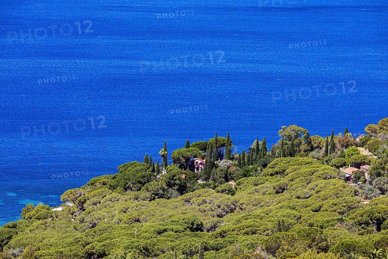 Holiday home framed by cypresses on Golfo Stella