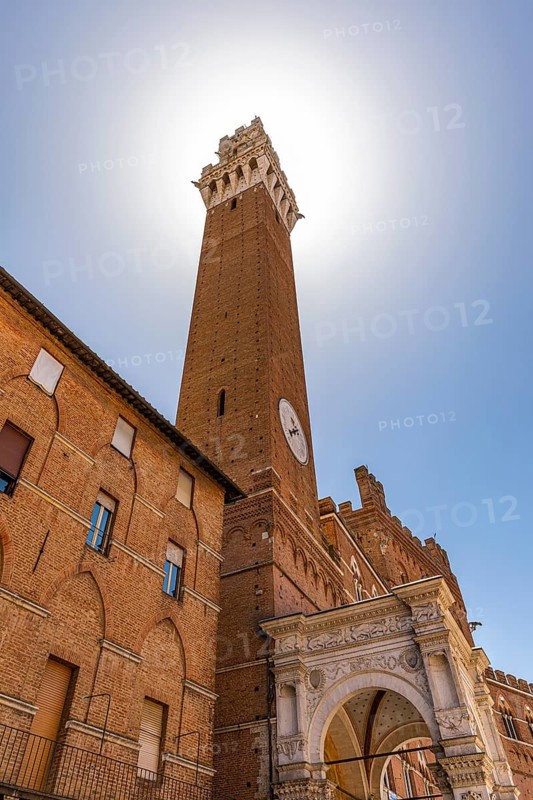 The tower of the Palazzo Pubblico