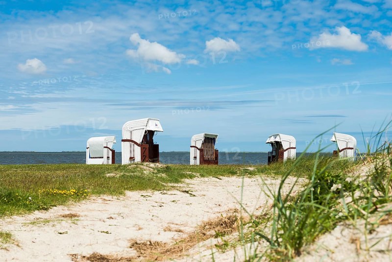 Beach chairs on the sandy beach