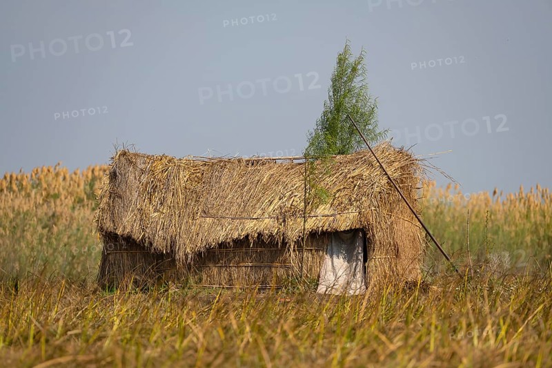 Fishing family's hut in the reeds