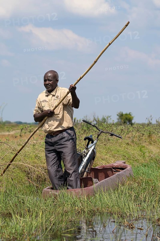 Man pushing dugout canoe with bicycle through swamp