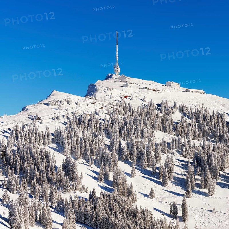 Winter Landscape