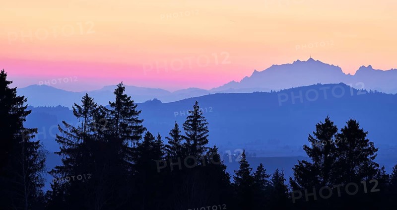 View of Saentis and Alpstein at dawn