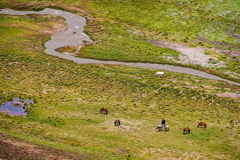 Green creek along the road from Lake Manasarovar to the kingdom of Guge