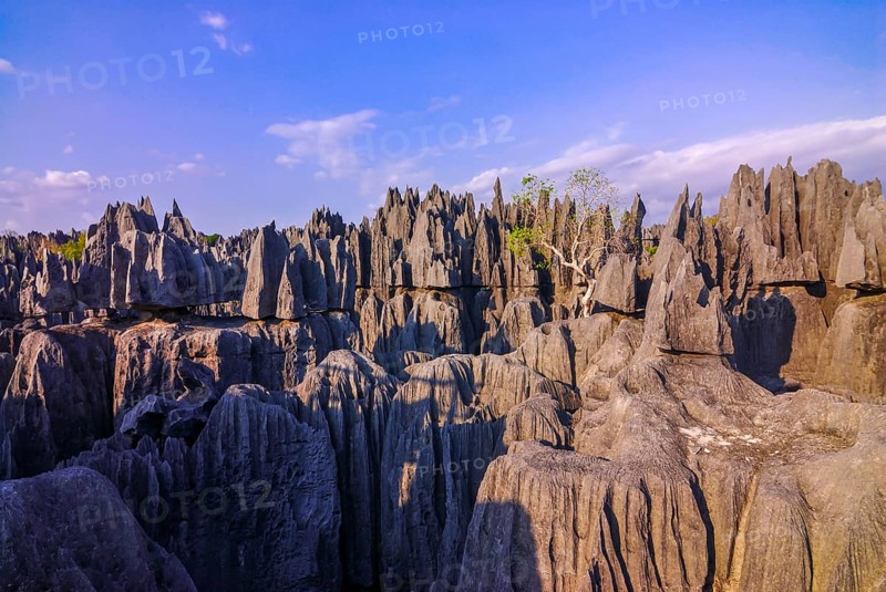 Unesco world heritage sight Tsingy de Bemaraha Strict Nature Reserve