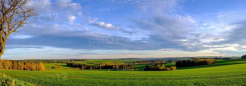 Landscape in the Thuringian Slate Mountains Upper Saale nature park Park near Bad Lobenstein