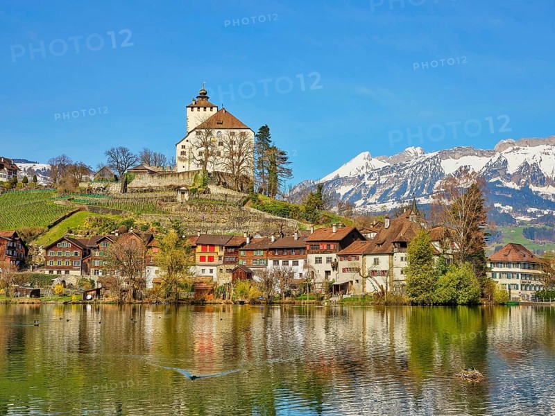Werdenberg Castle with Old Town on Lake Werdenberg