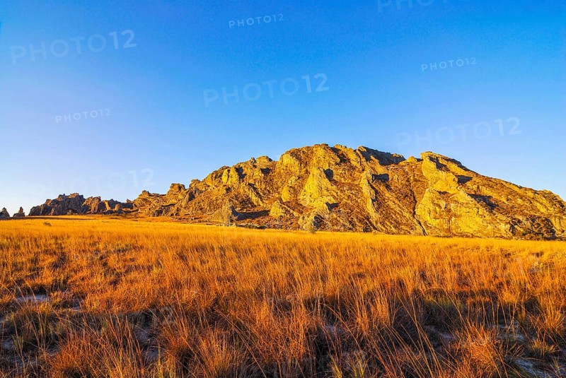 Savannah at sunset in the Isalo National Park