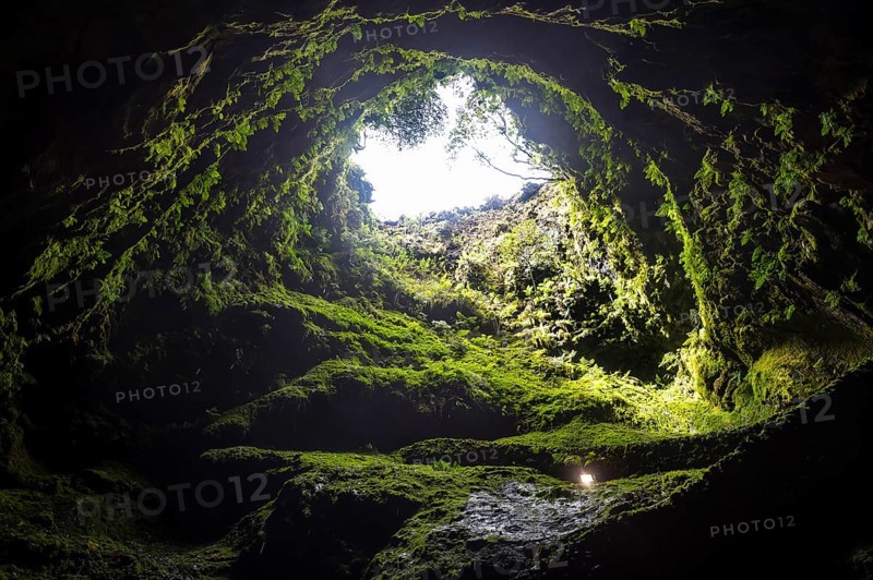 Algar do Carvao Natural Reserve cave