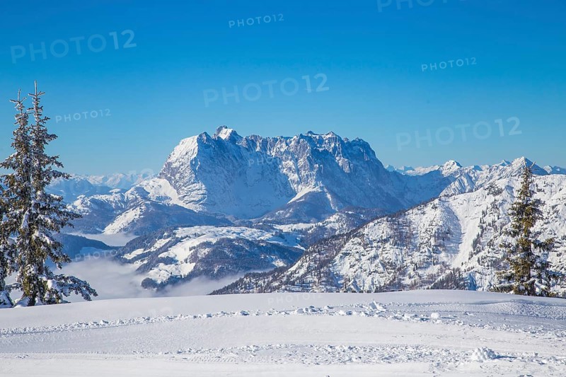 View of the Wilder Kaiser