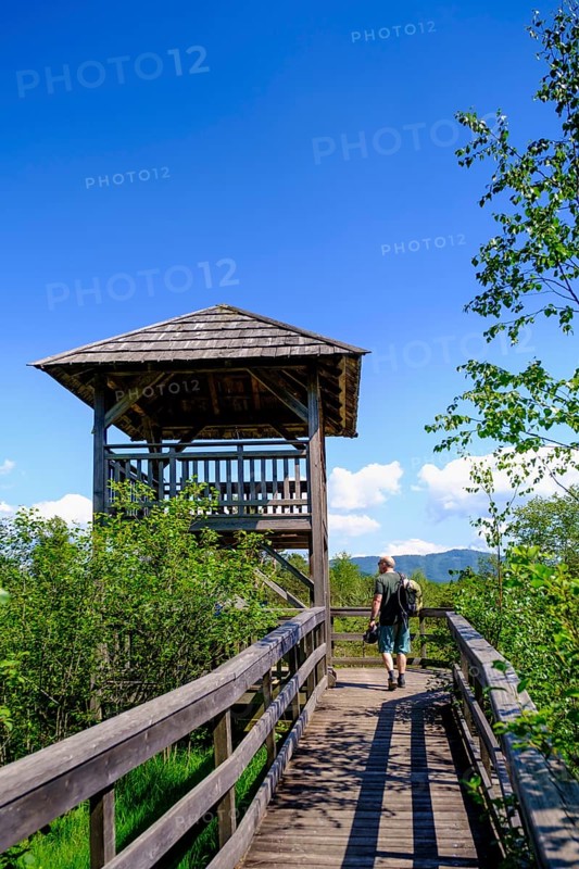 Viewing tower