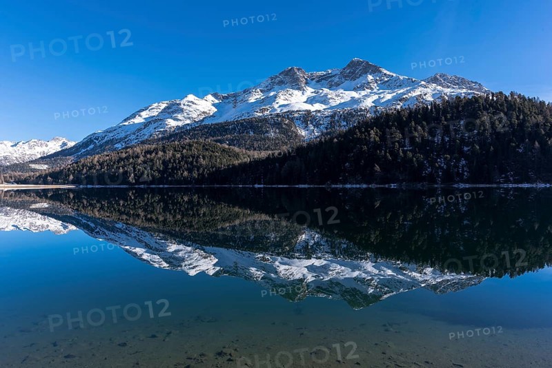 Reflection of Piz Rosatsch in Lake Champferer in the Engadine