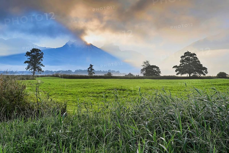 Morning atmosphere at Lake Lauerz with reed belt