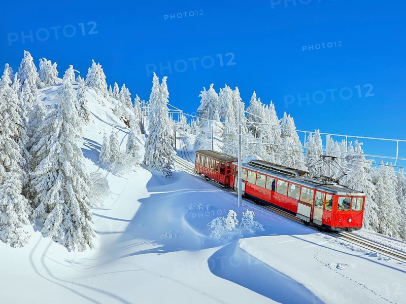 Cogwheel railway travelling through snow-covered forest