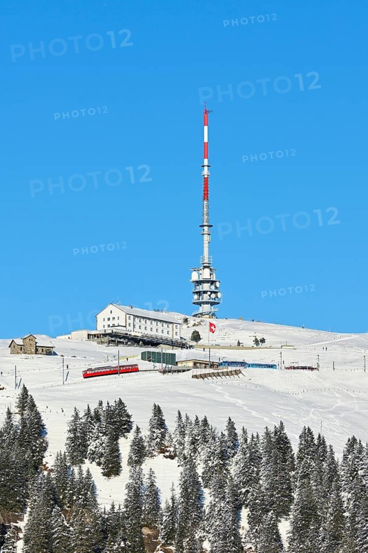 Winter landscape