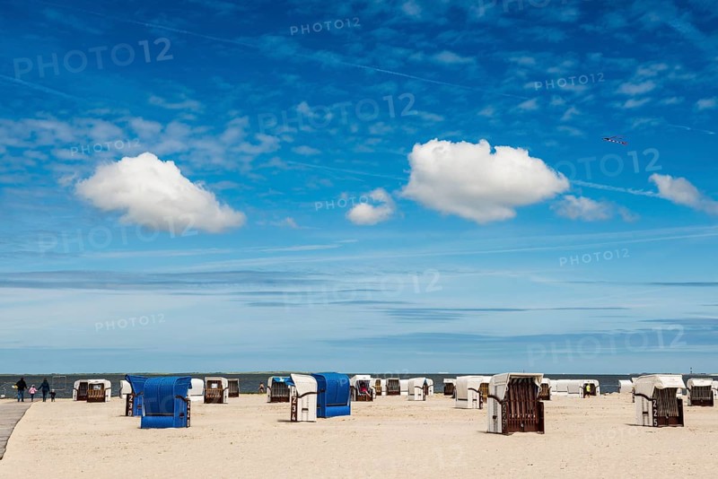 Beach chairs on the sandy beach