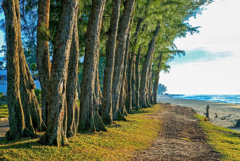 Manakara on the east coast of Madagascar