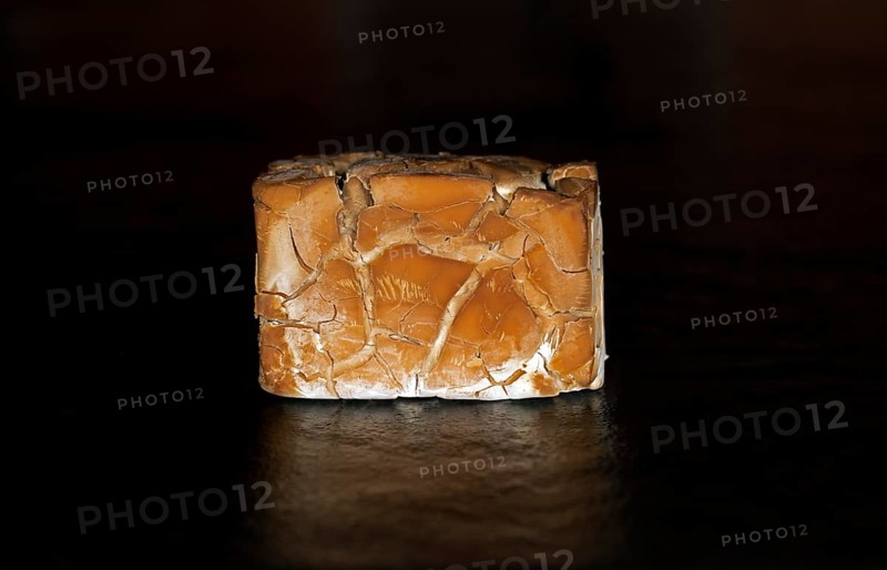 Food photography