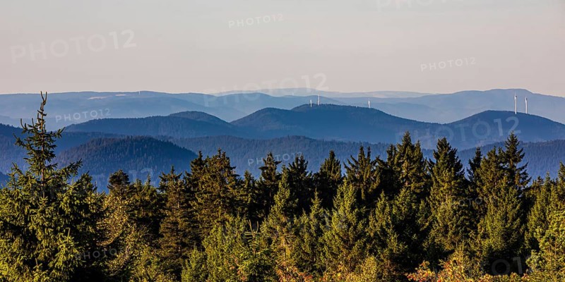 View from Schliffkopf over forest