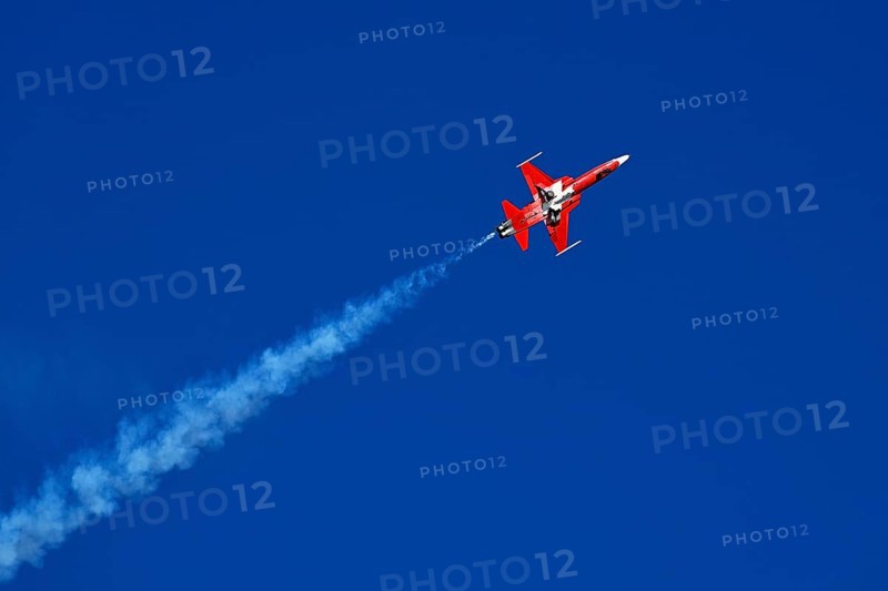 Formation flight of the Patrouille Suisse with the Northrop F-5E Tiger II