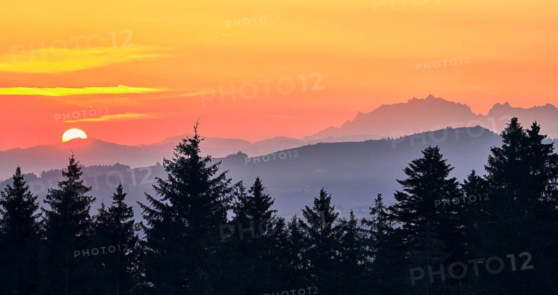 View of Saentis and Alpstein at sunrise