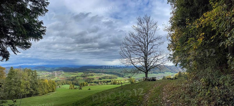 View of Ruenenberg and Kilchberg