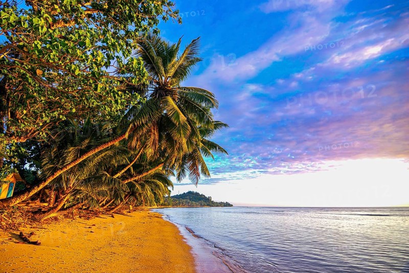 Palm trees on a beach at sunrise on Island Ile Sainte Marie