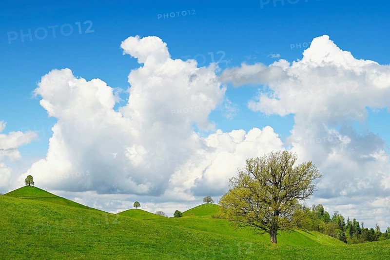 Moraine landscape
