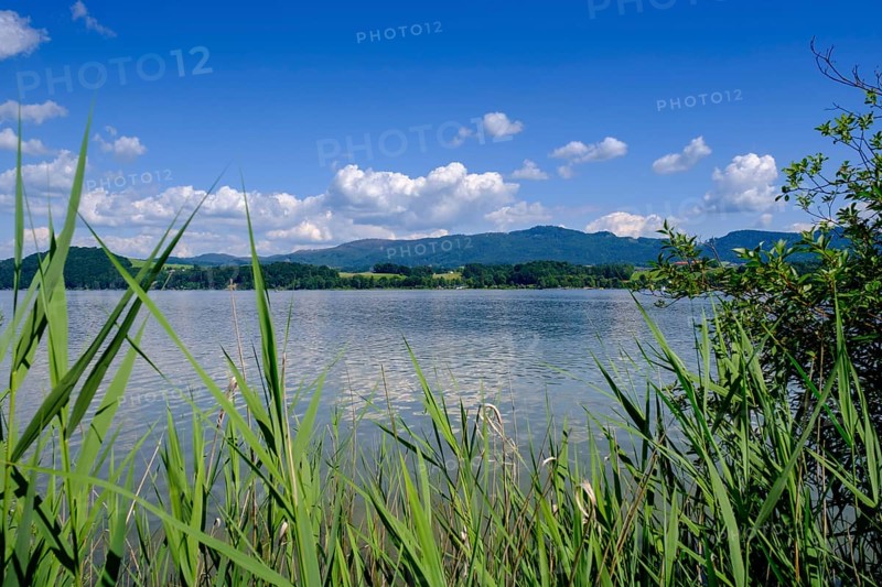 Wallersee-Zell am Wallersee