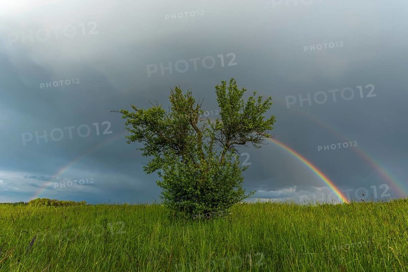 Appearance of a double rainbow in front of a late afternoon storm. Alsace