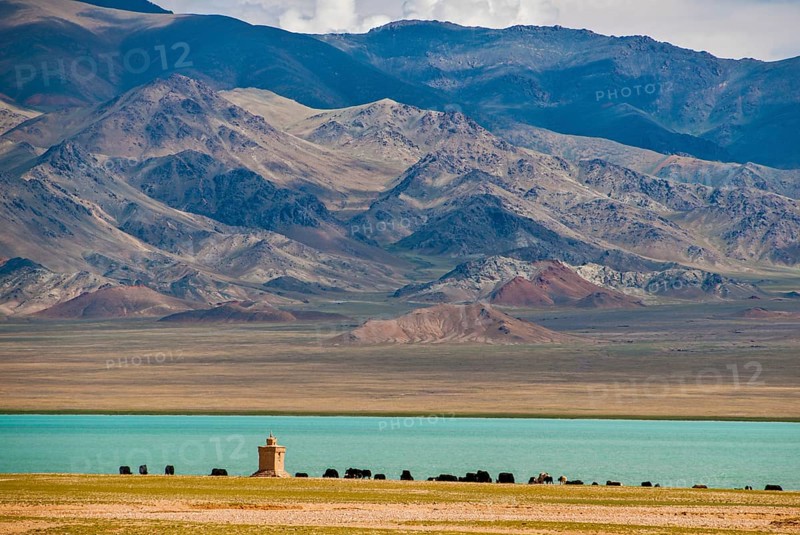 Yaks on the open wide tibetan landscape along the road from Tsochen to Lhasa