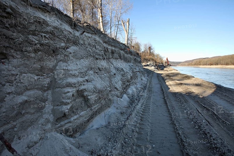 Exposed historic fascines on a river bank