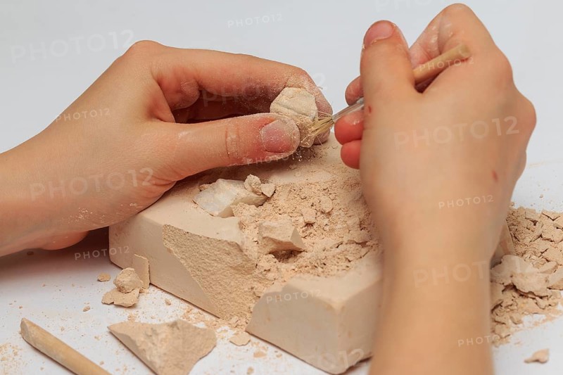 A child digs up fossils from a stone excavation set