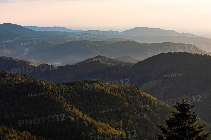 View from Schliffkopf over forest and mountains