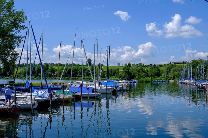 Sailing boats