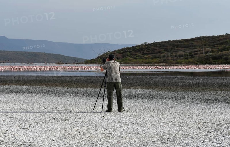 Photographer taking pictures of flamingos