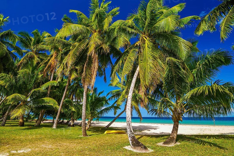 Palm trees on a white sand beach on the Island Ile Sainte-Marie although Nosy Boraha