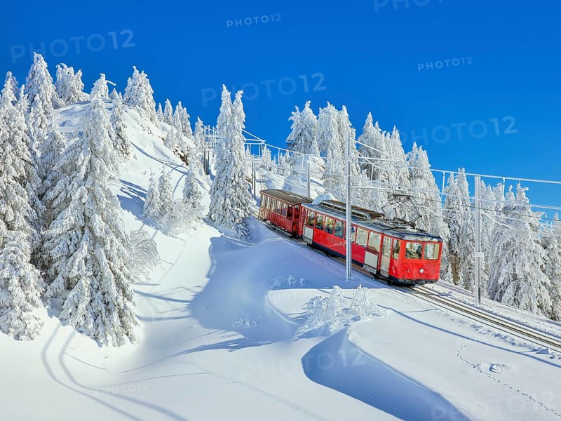 Cogwheel railway travelling through snow-covered forest