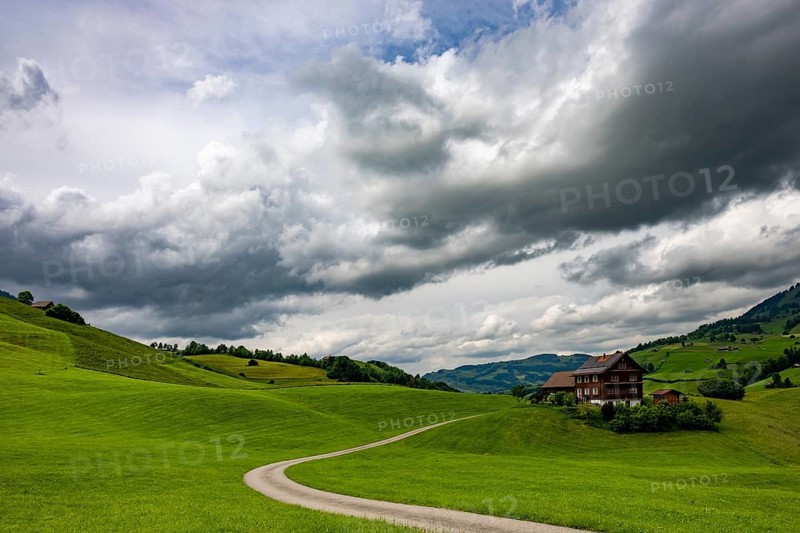Farms in hilly landscape