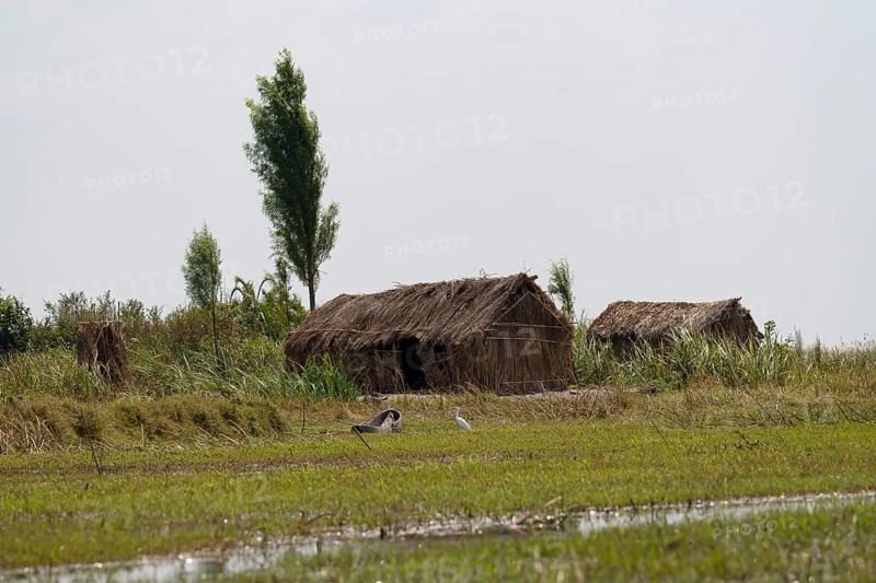 Reed huts