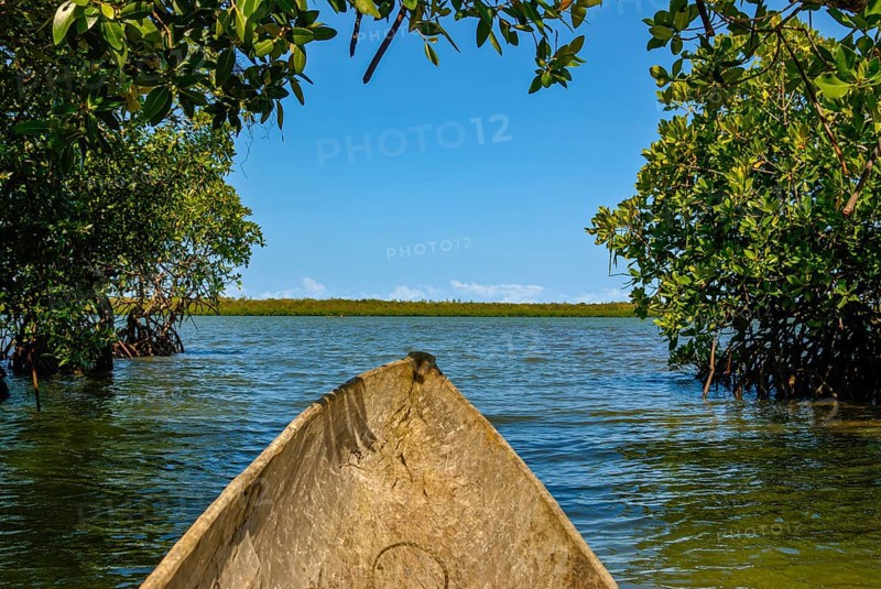 Mangroves on the island Ile Sainte-Marie although Nosy Boraha