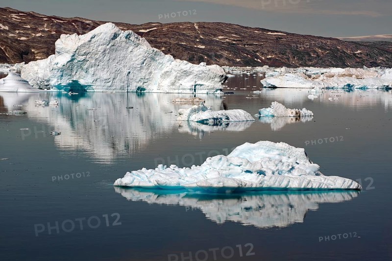 Icebergs reflected in a fjord
