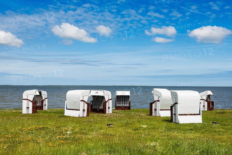 Beach chairs