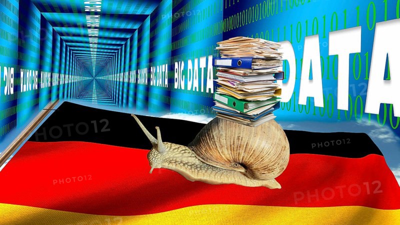 Bureaucracy snail