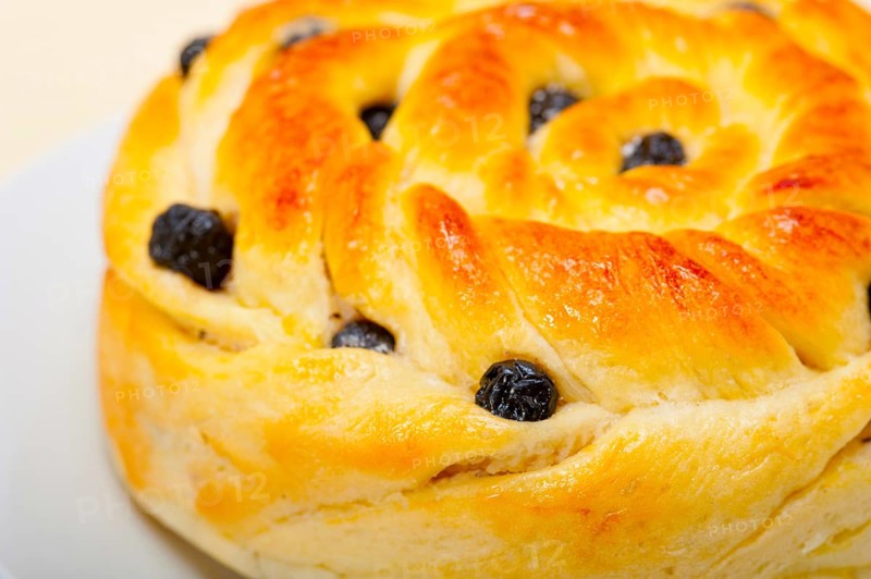 Fresh home baked blueberry bread cake dessert over white wood table