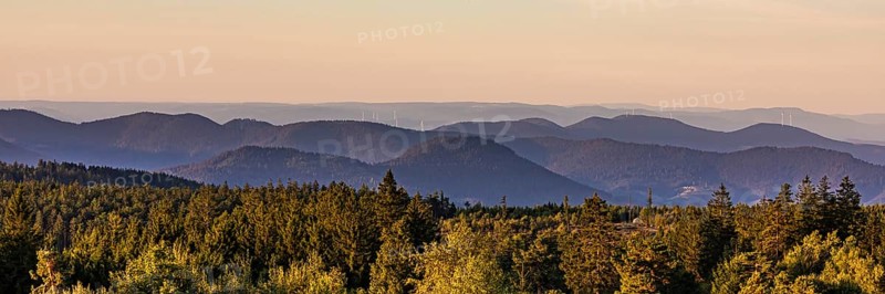 Panorama view from Schliffkopf over forest and mountains