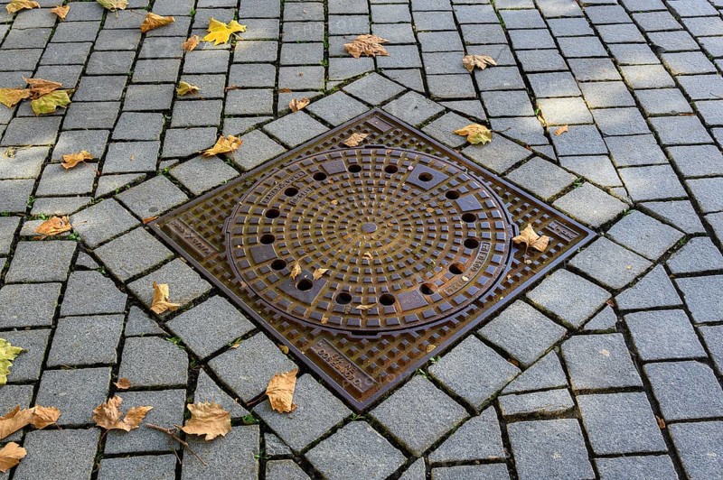 Manhole cover with autumn leaves