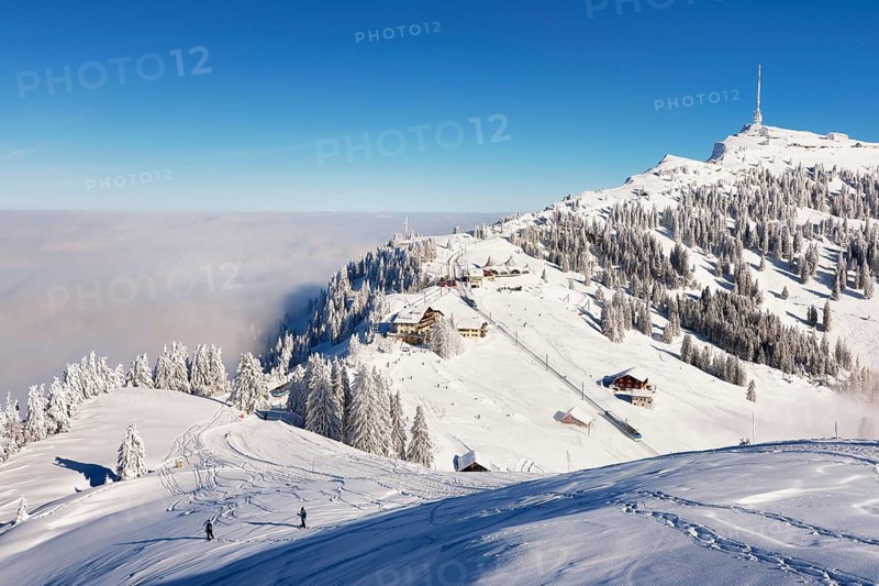 Winter Landscape