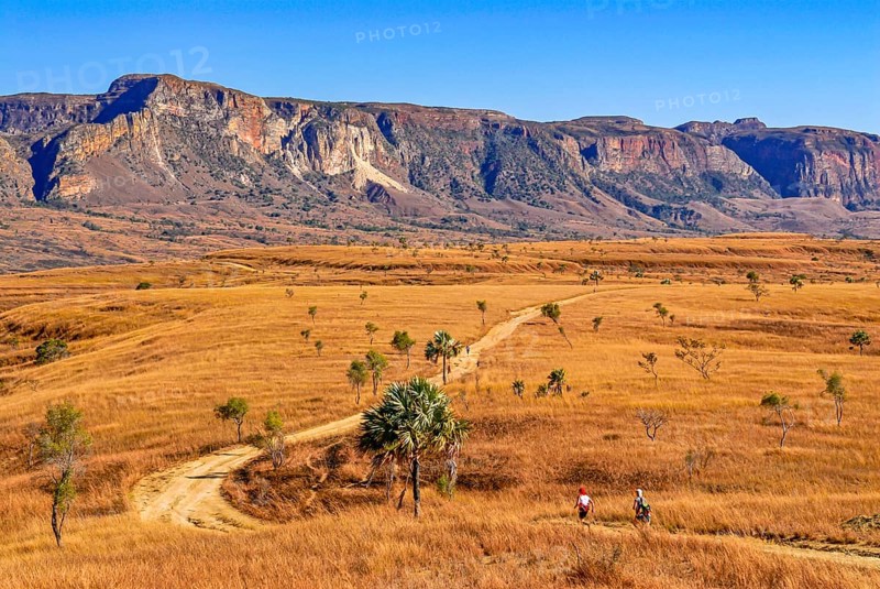 Trekker on a road going through the Isalo National Park